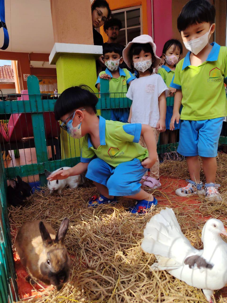 Dloving children learning about animals during a supervised hands-on experience